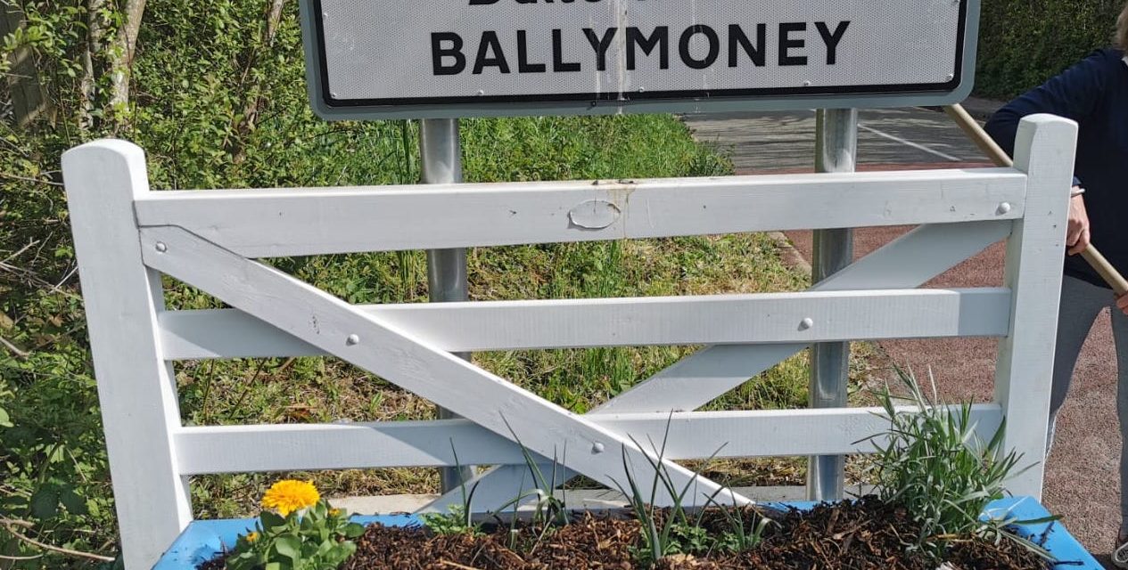 Fantastic new additions to Ballymoney village!